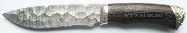 bars-akula-dvml-sm.jpg